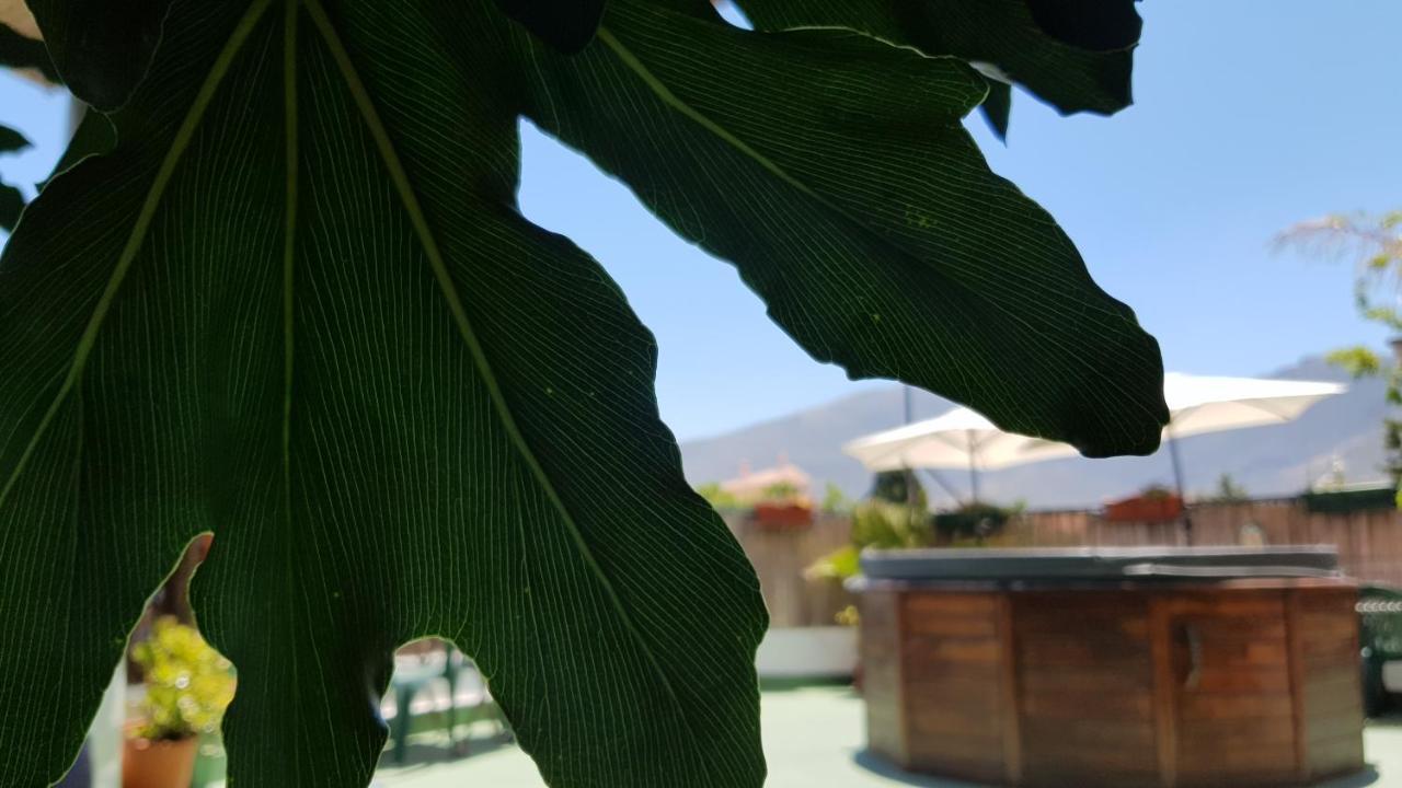 Alpujarra Sol Maison d'hôtes