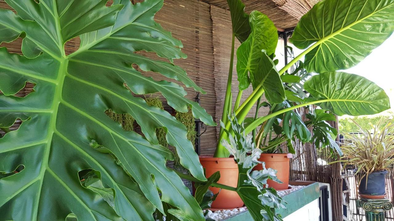 Alpujarra Sol 3* Orgiva