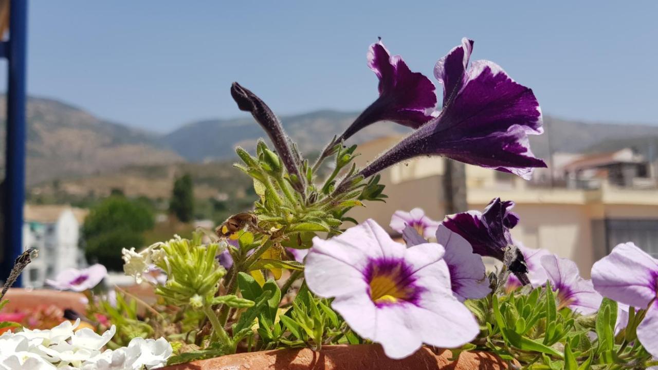 Alpujarra Sol Gasthof